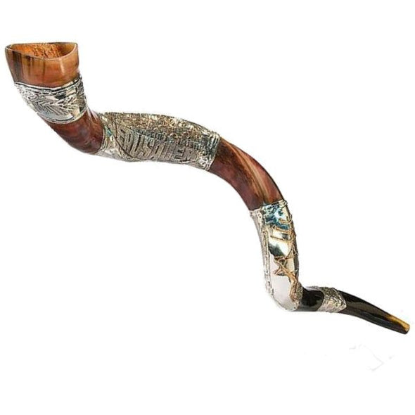 Shofar - Yemenite - Ceremonial - Silver Plated (32"-35")